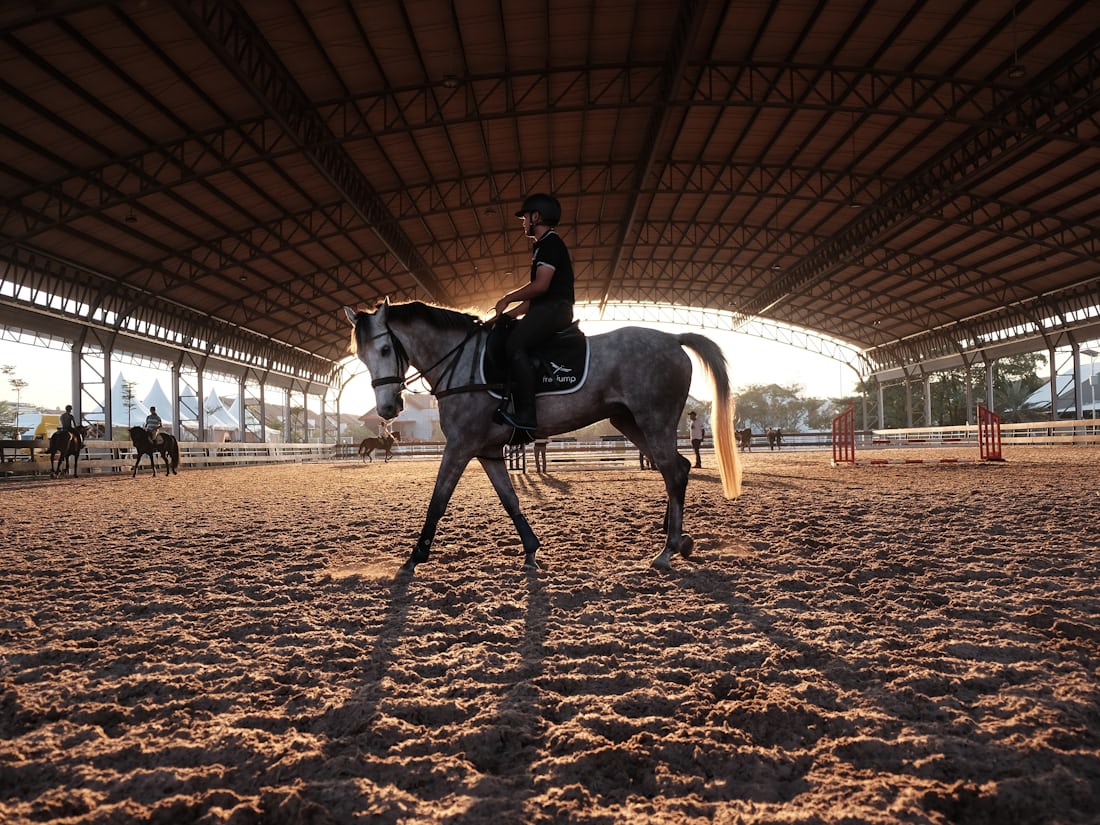 Horse riding lesson in the schooling arena at golden hour, Bliss Horse Riding Academy Gandhinagar