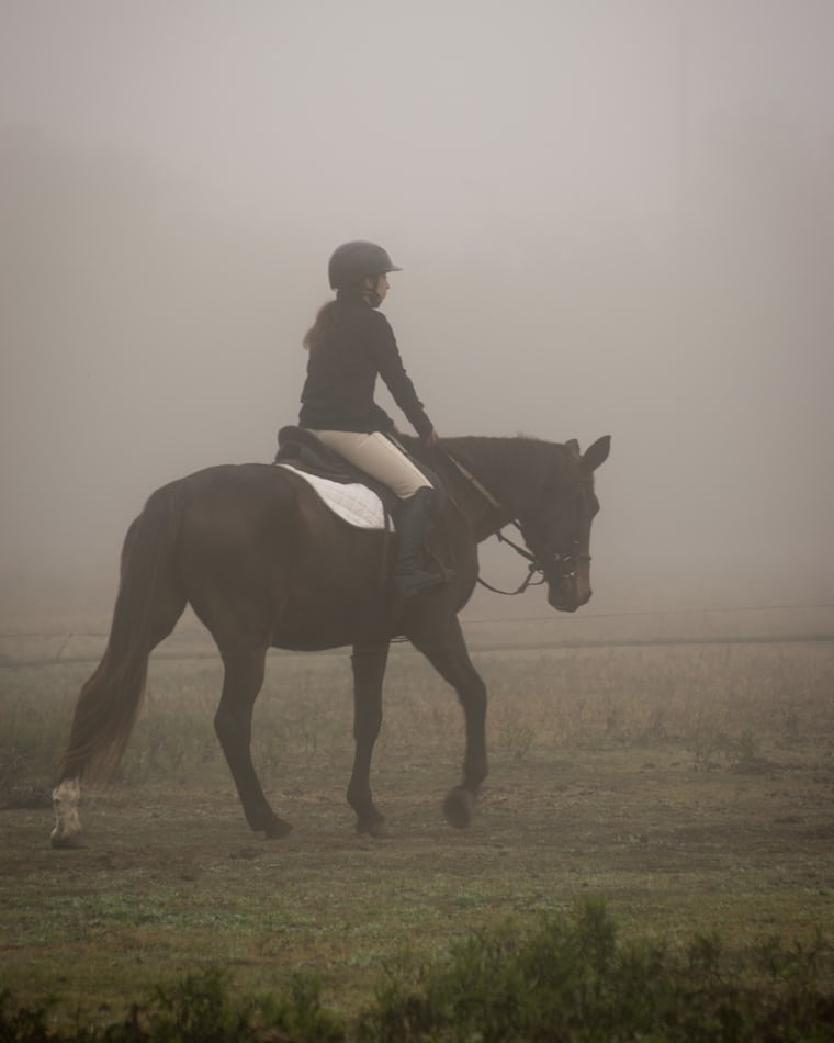 Rider and horse in the early morning mist