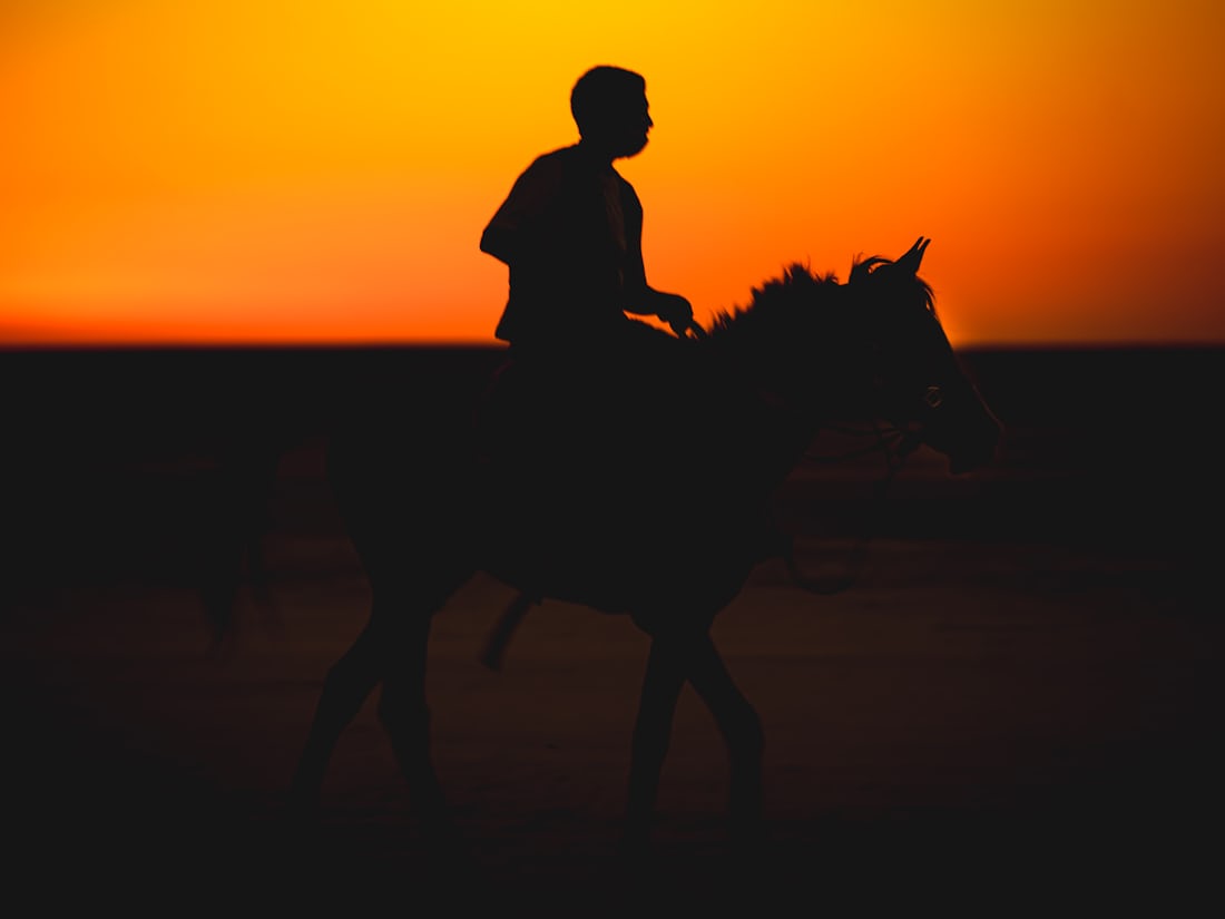 Sundowner ride silhouette at sunset during a Saddle Social weekend near Ahmedabad